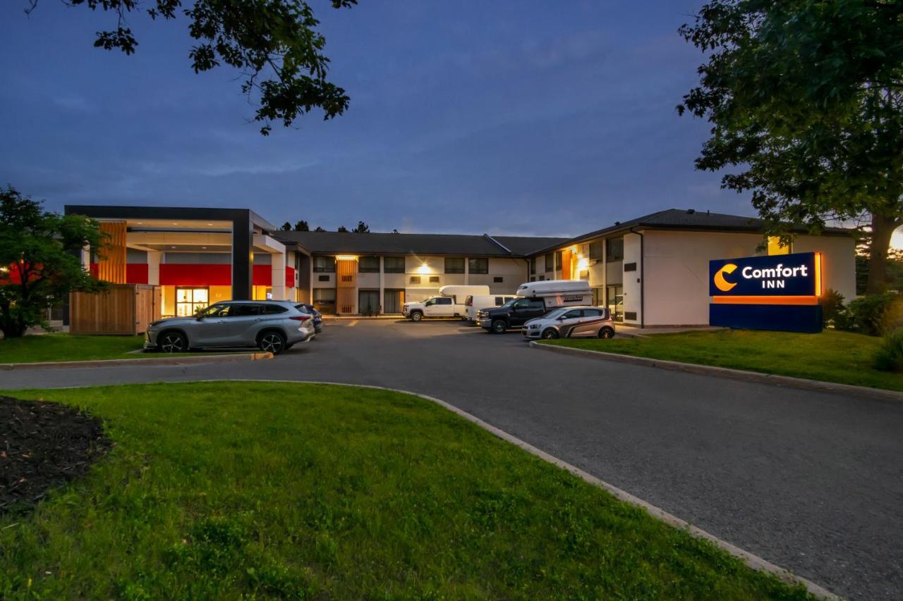 Comfort Inn West Ottawa Buitenkant foto