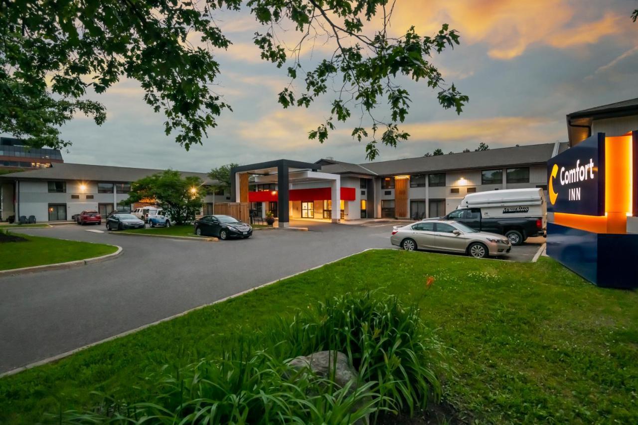 Comfort Inn West Ottawa Buitenkant foto